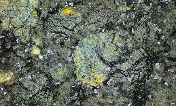 第2个点位局部显微镜照片