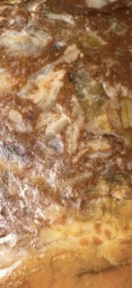 IMG_0756.jpeg