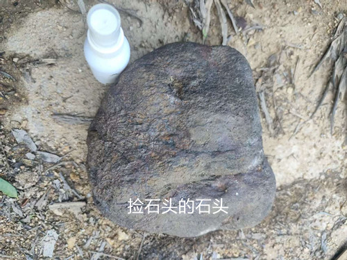 a32cc682f175acf8923878a2de316ec1_副本.jpg