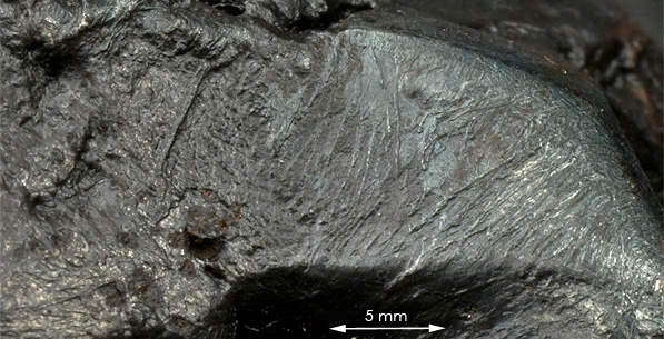 Fusion crust meteorite 053 sikhote.jpg