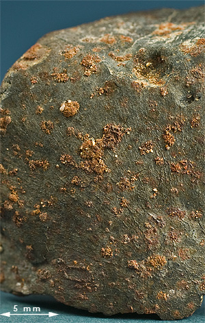 Fusion crust meteorite 060 SAU 001.jpg