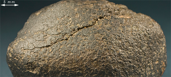 Fusion crust meteorite 061 ureilite.jpg