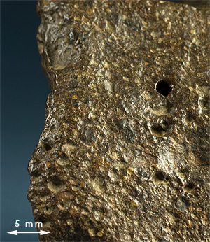 Fusion crust meteorite 47k nwa 5923.jpg