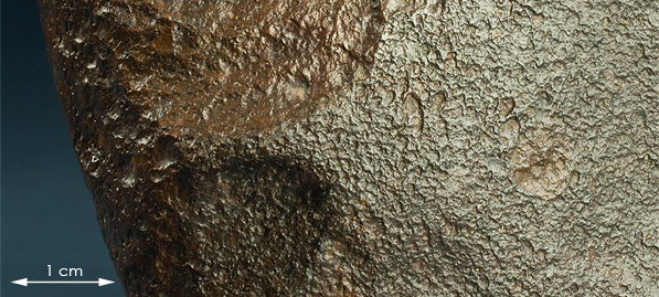 Fusion crust meteorite 063 Dhofar 1508 .jpg