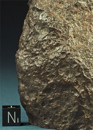 Fusion crust meteorite 032 nwa.jpg