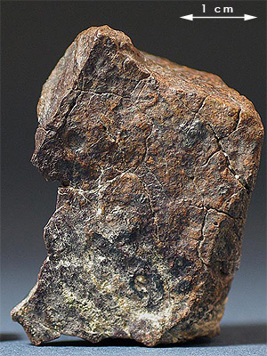 Fusion crust meteorite 062 dho 1457 H5.jpg