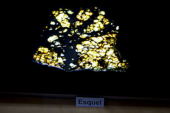6蚀刻铁陨石，Mesosiderites陨铁和是包含捐赠阿琳和Ted Schlazer显示器外壳的主要特征.jpg